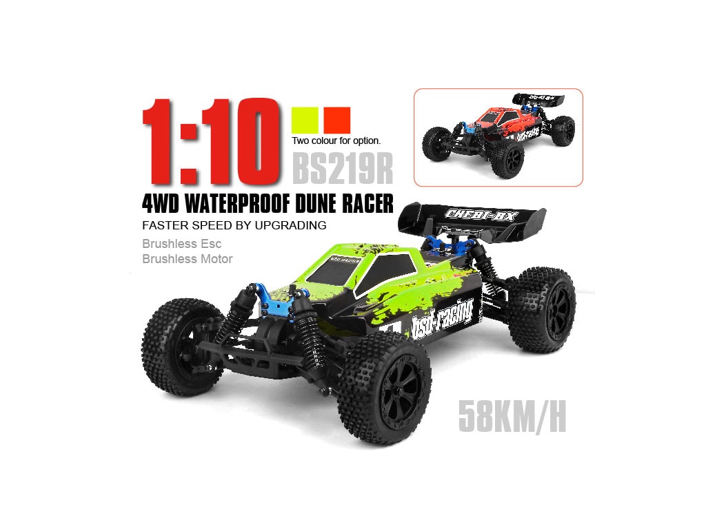 1/10th BSD Brushless Off-road Buggy – BS219R