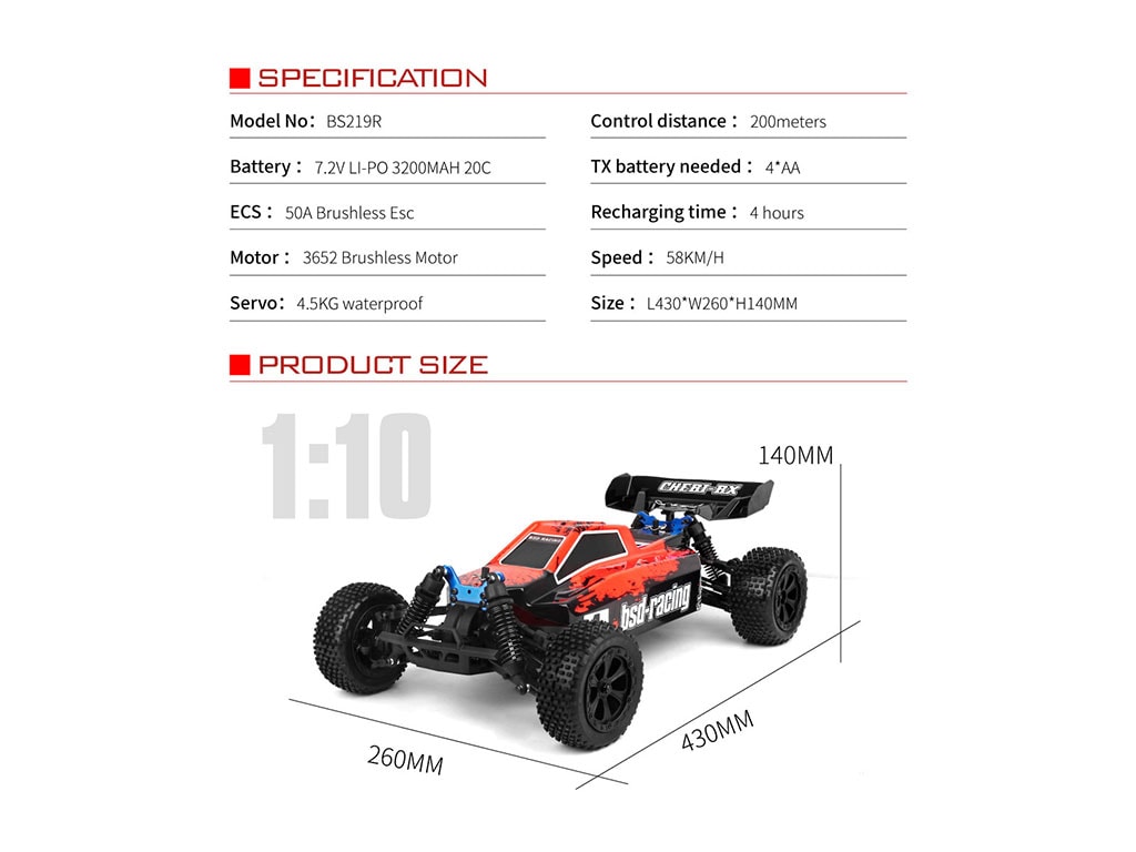 1/10th BSD Brushless Off-road Buggy – BS219R